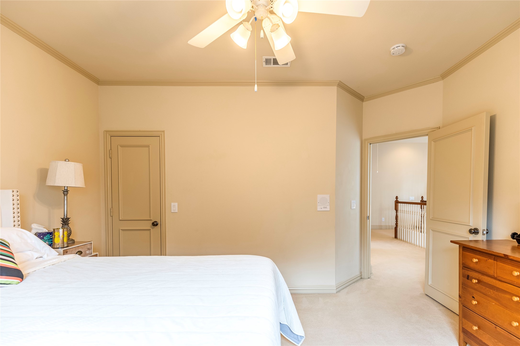 3101 Springbranch Drive