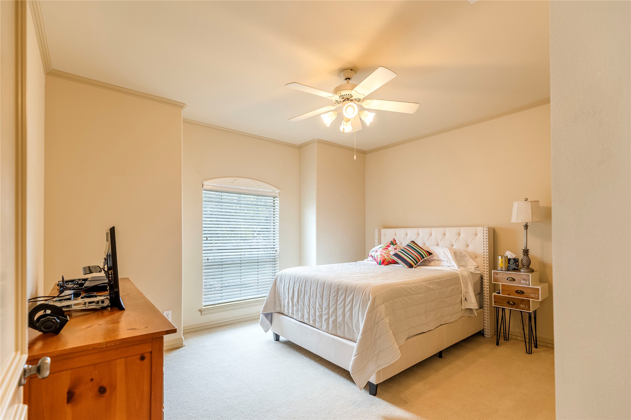 3101 Springbranch Drive