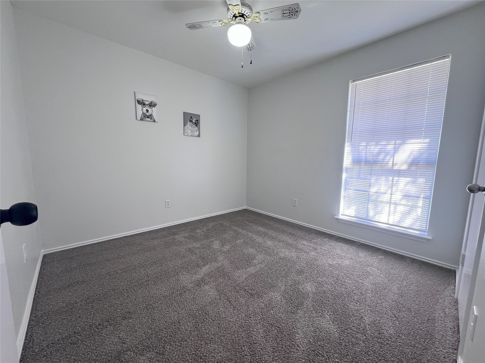 7809 Meadowlark Lane