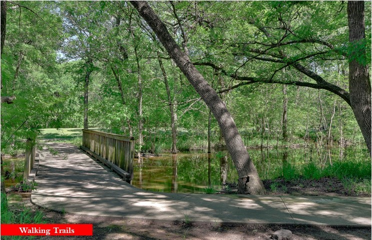 7610 Graystone Drive