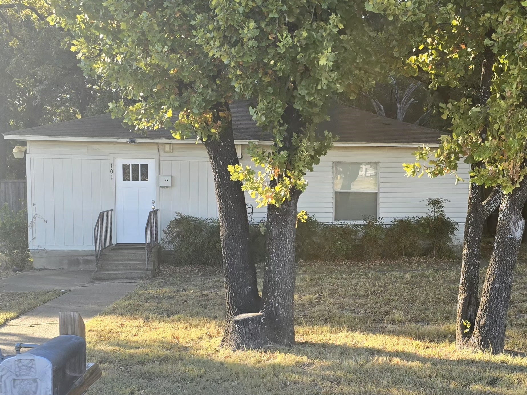 Single-story white house behind mature trees, with a front walkway and late-day sunlight on the lawn.