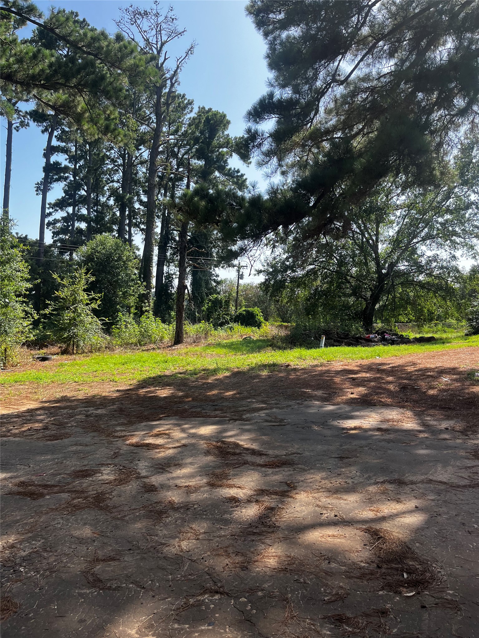 242 An County Road 4221