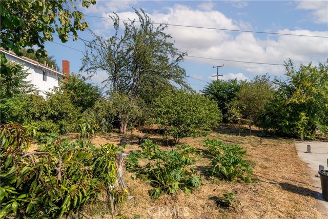 115 S Tamarisk Avenue