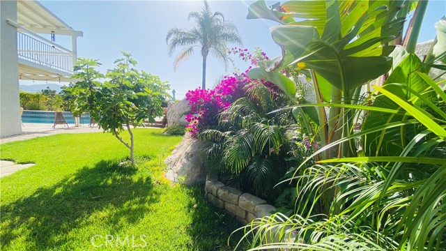 11726 Blue Lupin Lane