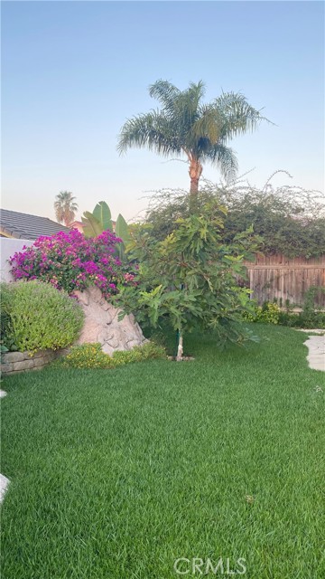 11726 Blue Lupin Lane