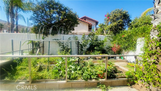 11726 Blue Lupin Lane