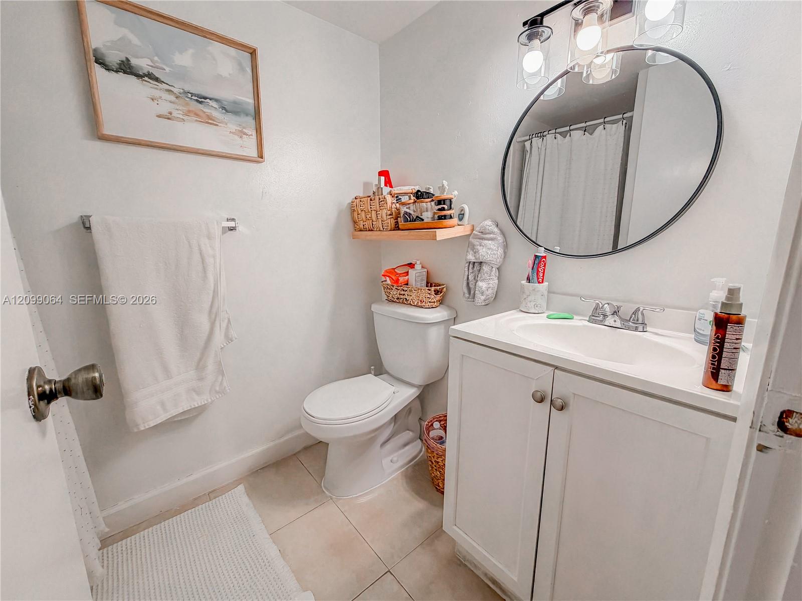Bathroom with a white vanity, large round mirror, toilet, and shower curtain.