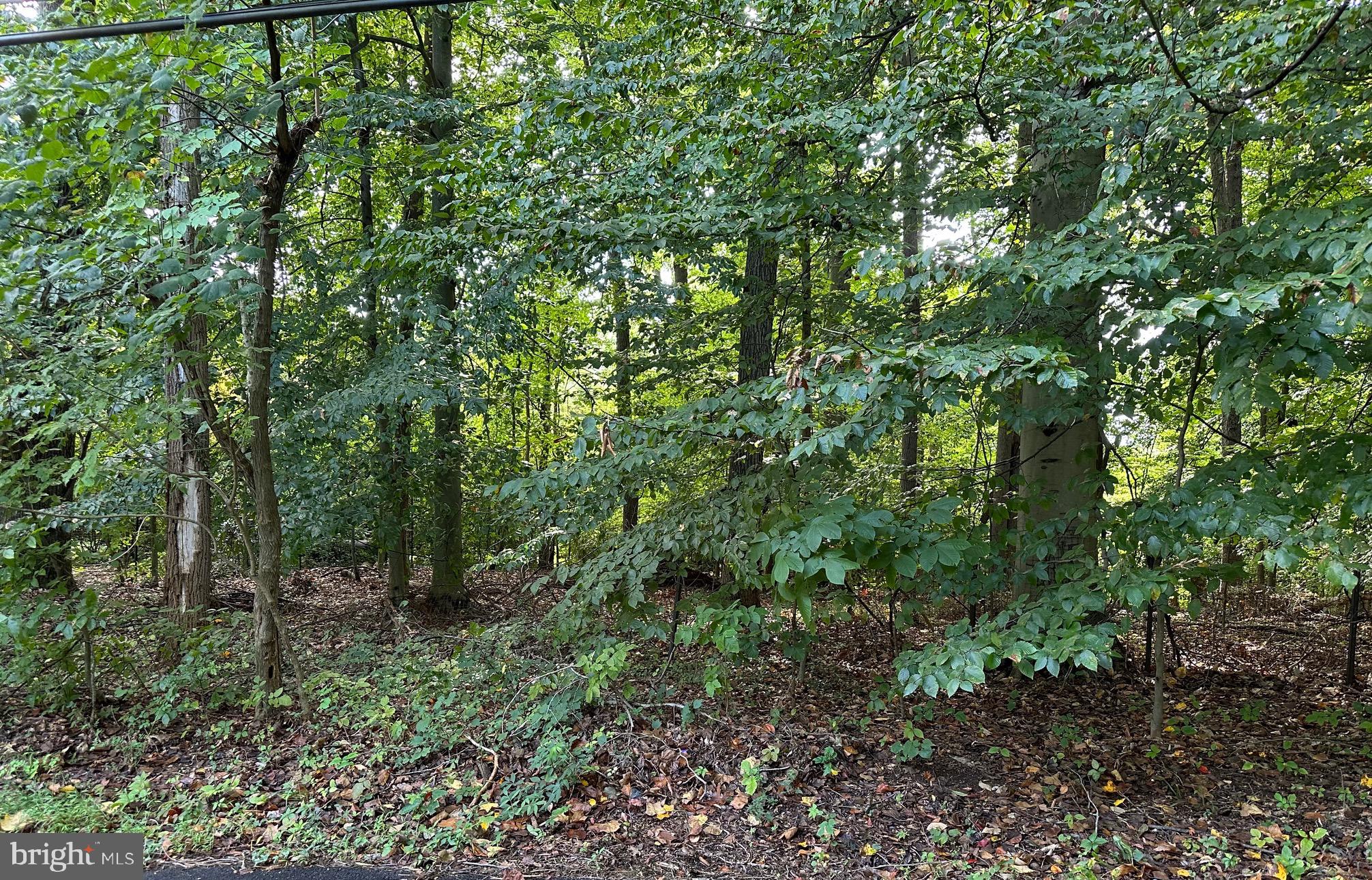 CAVES ROAD