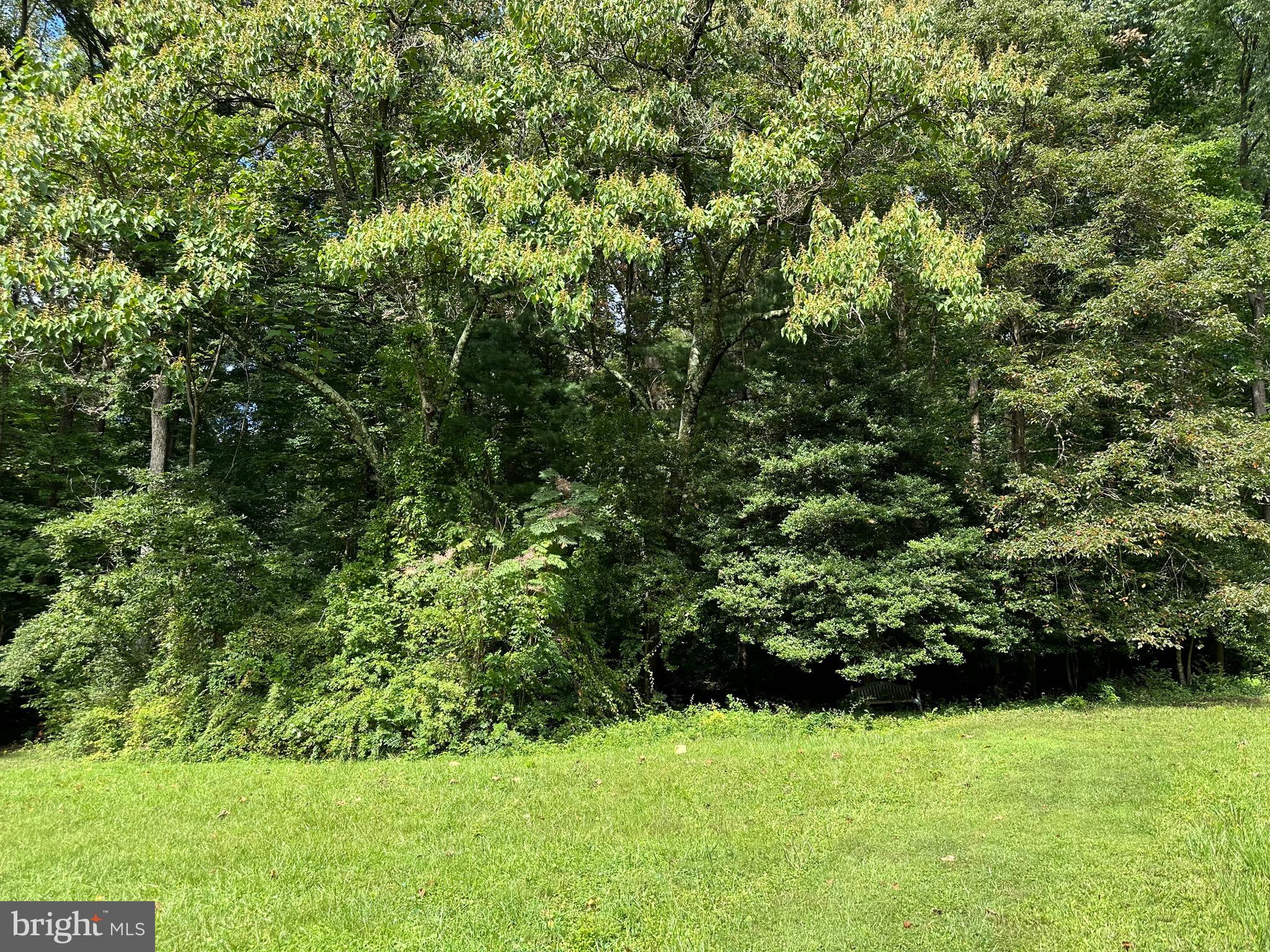 CAVES ROAD