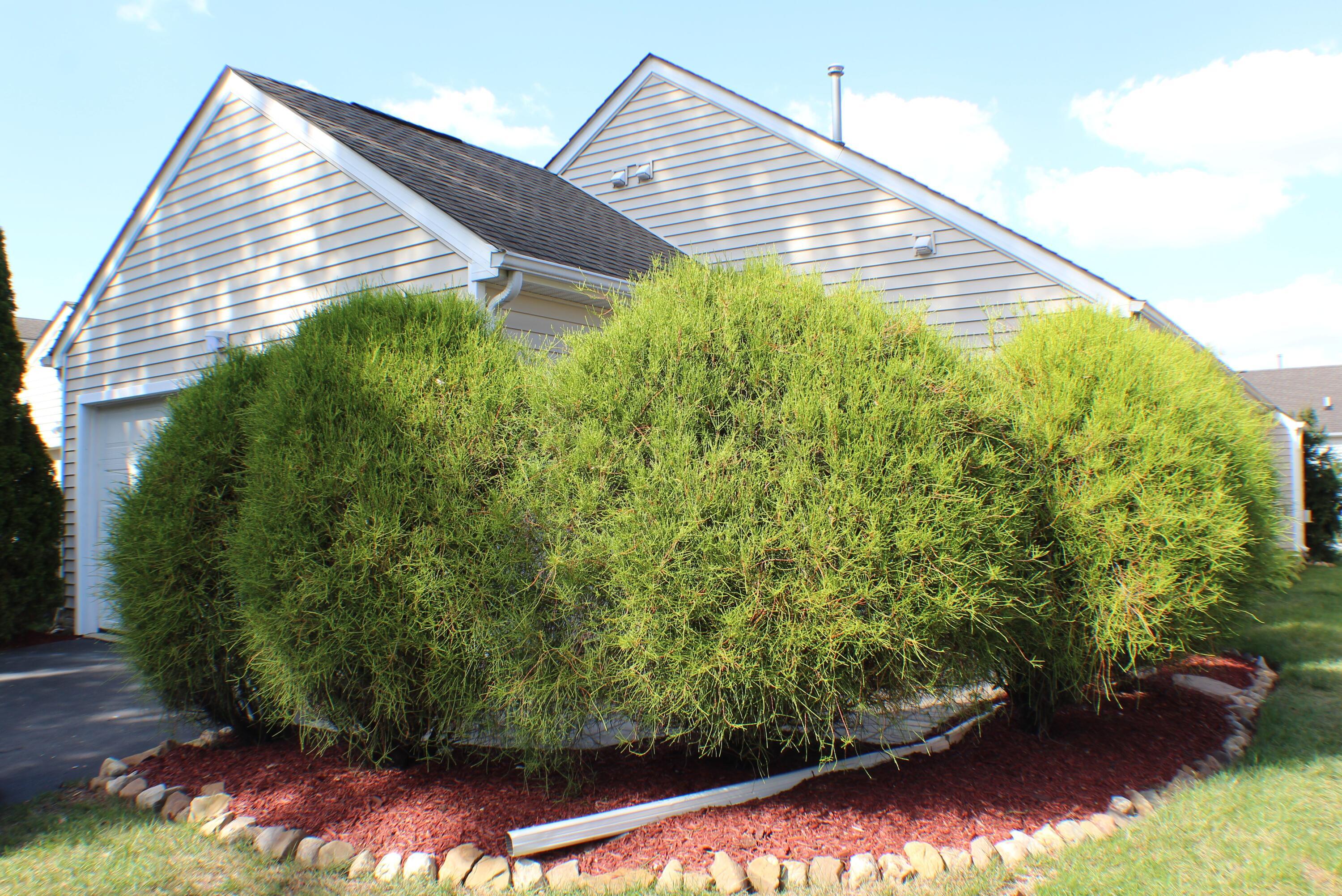143 Arrowfeather Lane