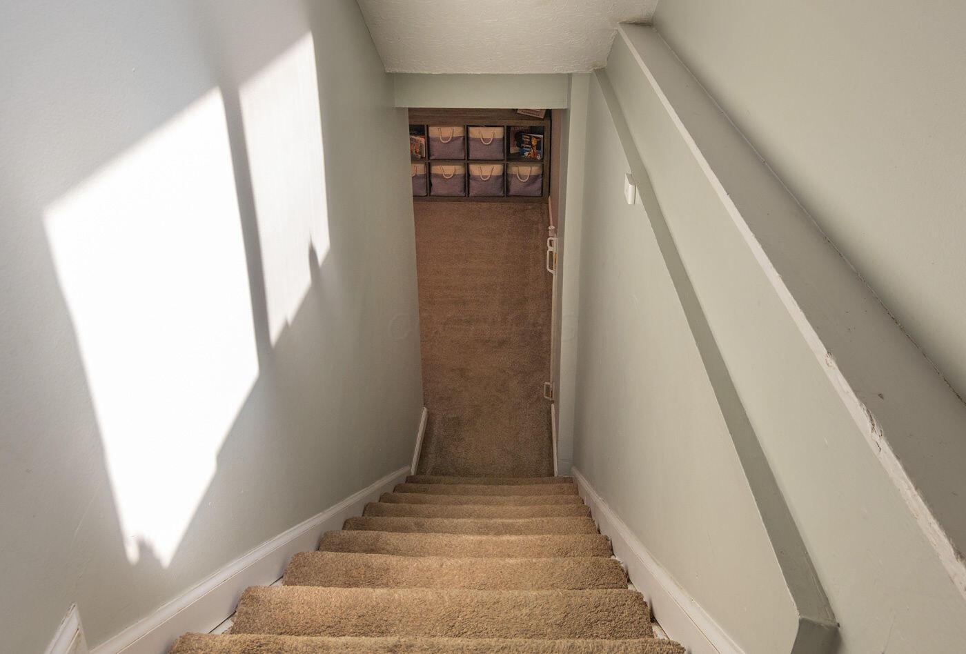 443 Carolann Avenue