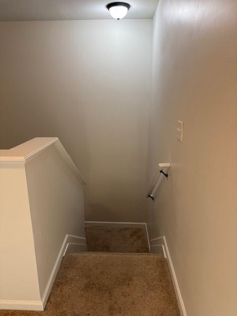 313 CLOVER BROOK Drive
