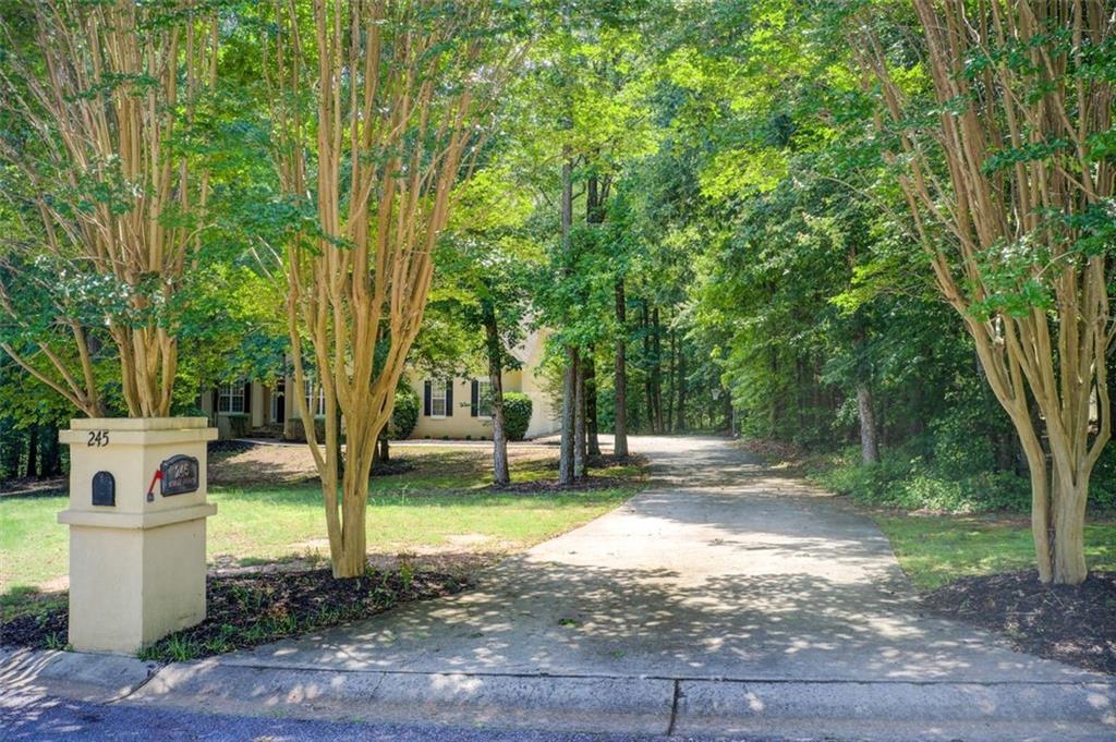 245 ASHLEY FOREST Drive