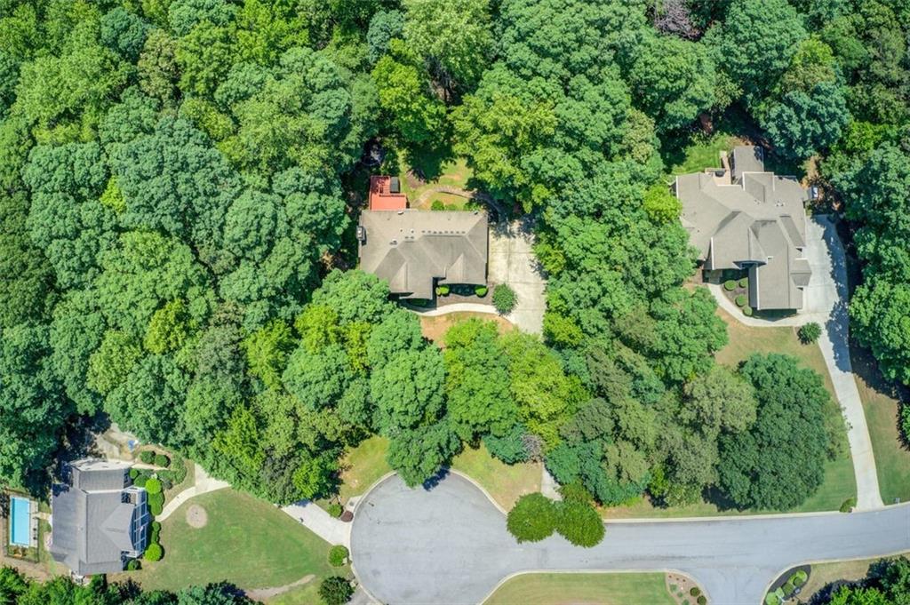 245 ASHLEY FOREST Drive