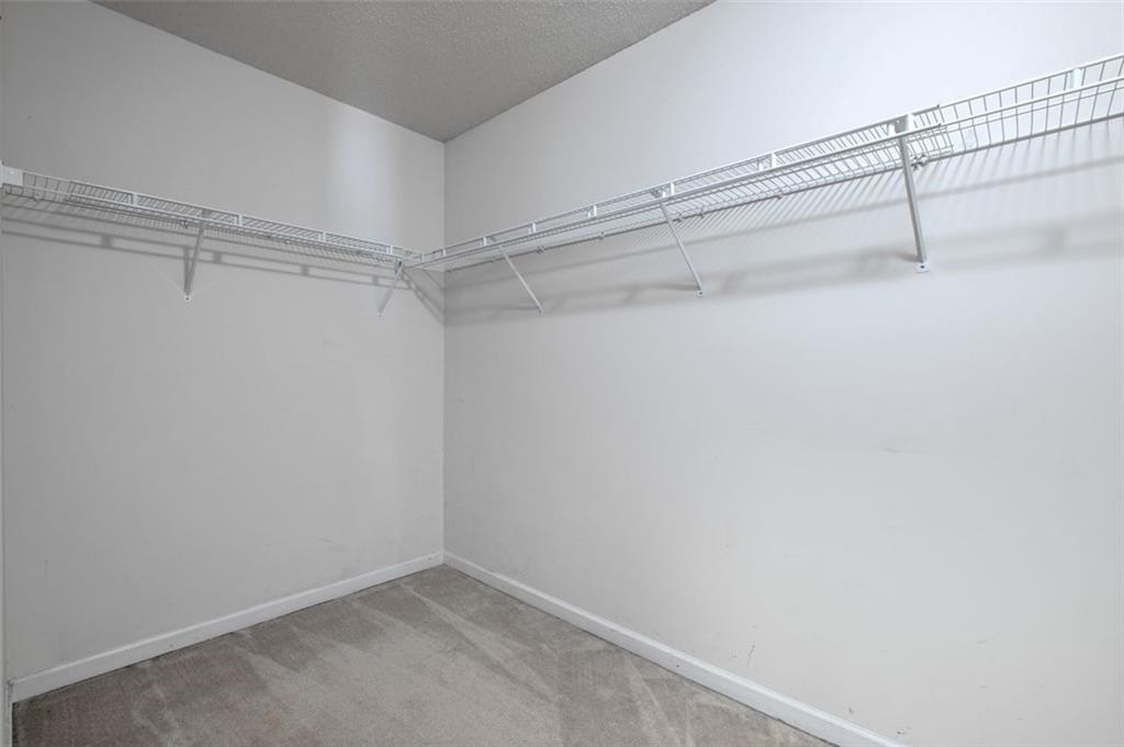 1027 WINDING WOODS Trail