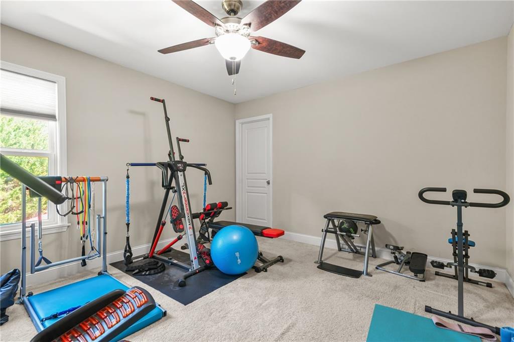 2015 AUGUSTINE Trace