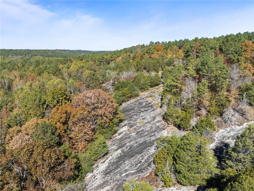 7790 Atlanta Newnan Road