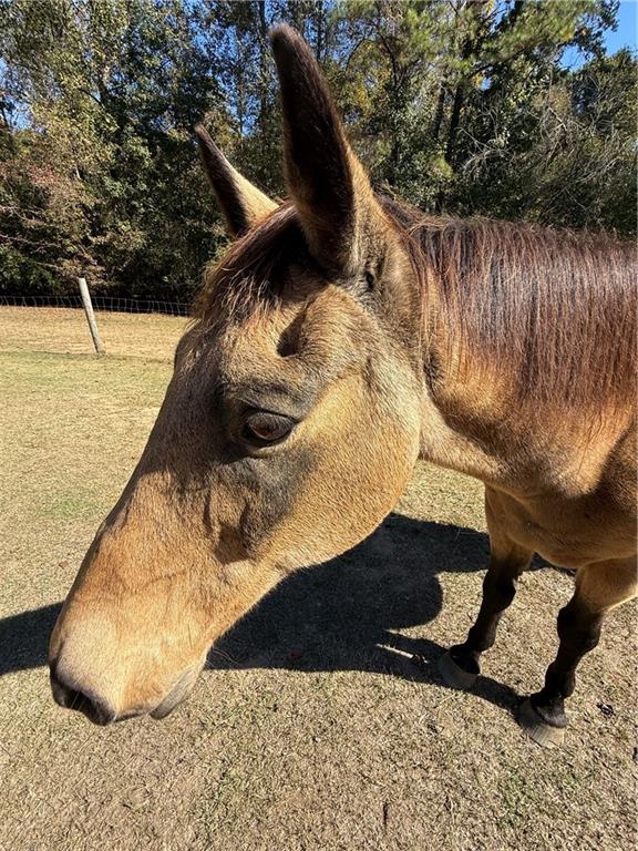 7790 Atlanta Newnan Road