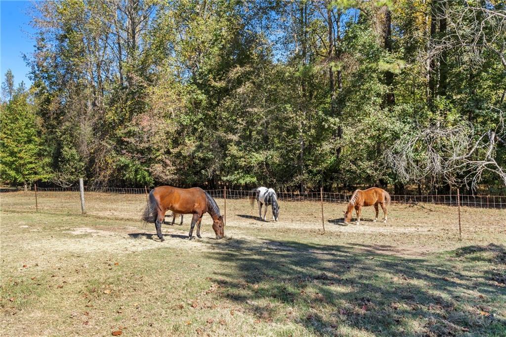 7790 Atlanta Newnan Road