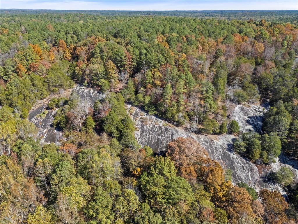 7790 Atlanta Newnan Road