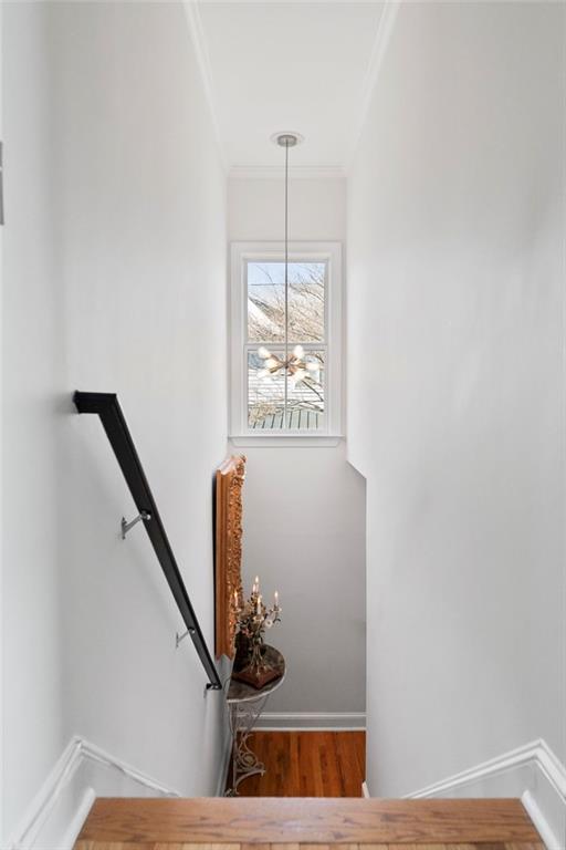 265 CARLYLE PARK Drive NE