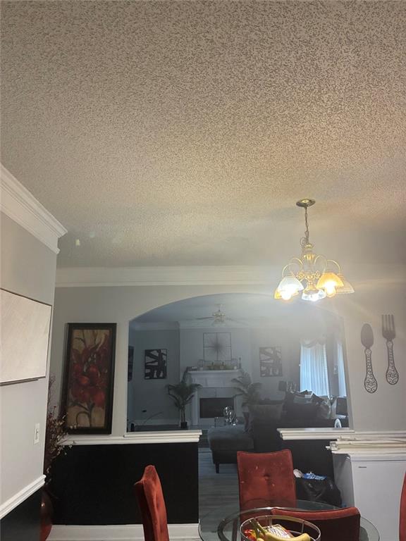 646 Autumn Leaf Circle