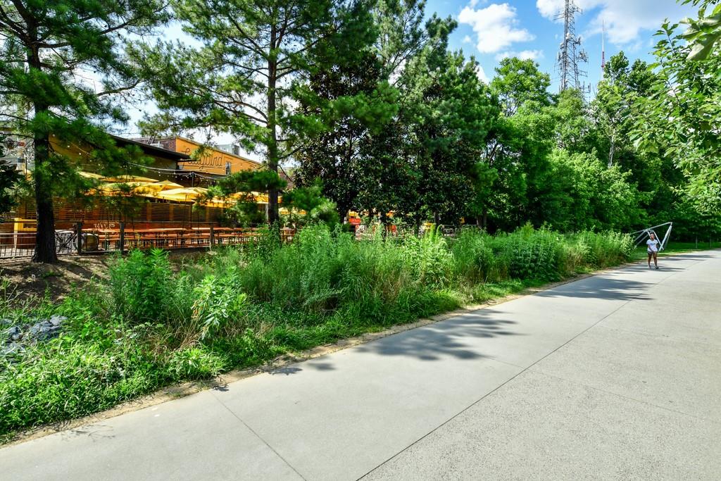 210 Sampson Street NE Unit 5