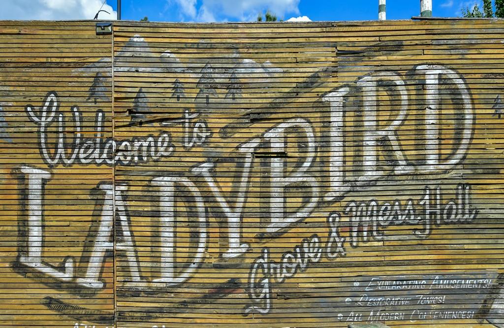 210 Sampson Street NE Unit 5