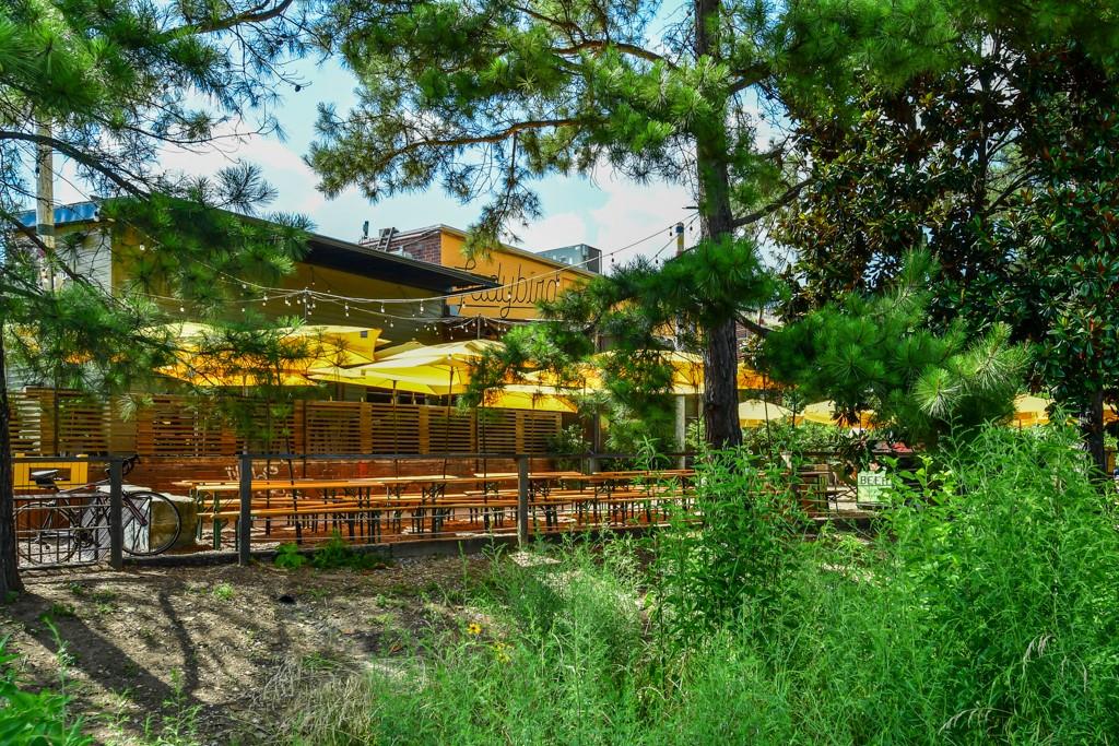 210 Sampson Street NE Unit 5