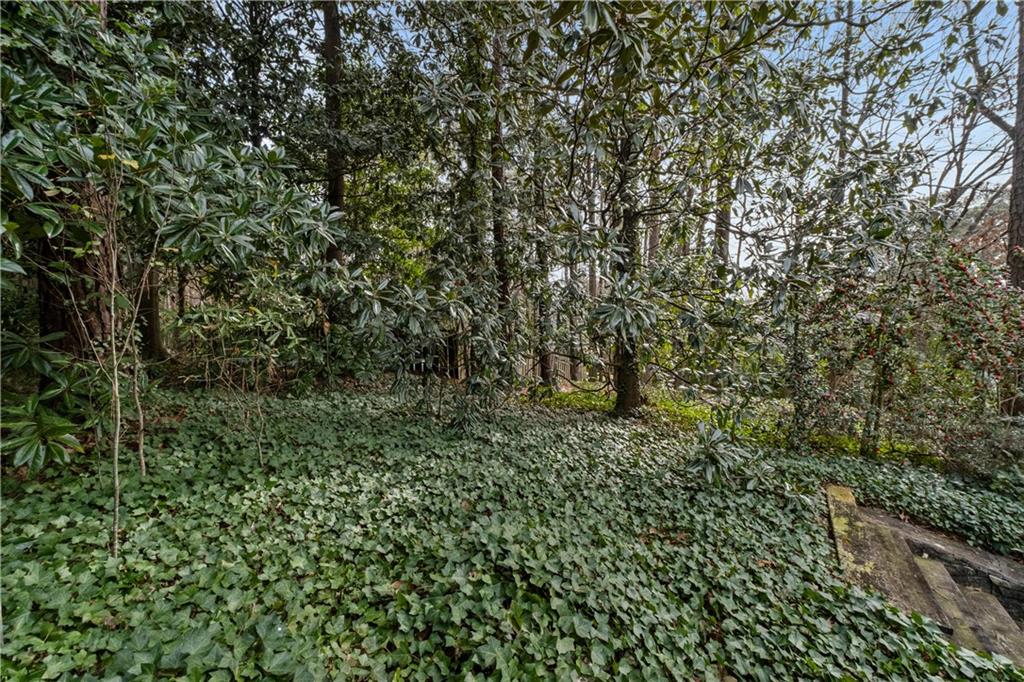 6095 Weatherly Drive