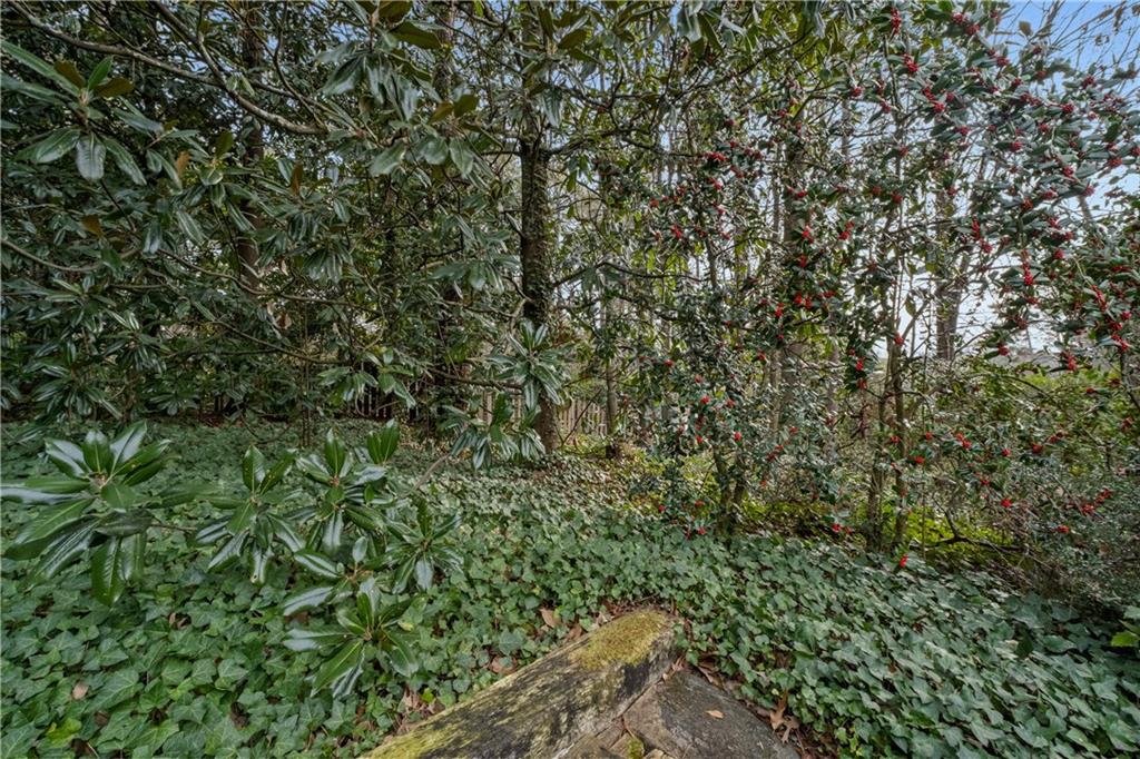 6095 Weatherly Drive