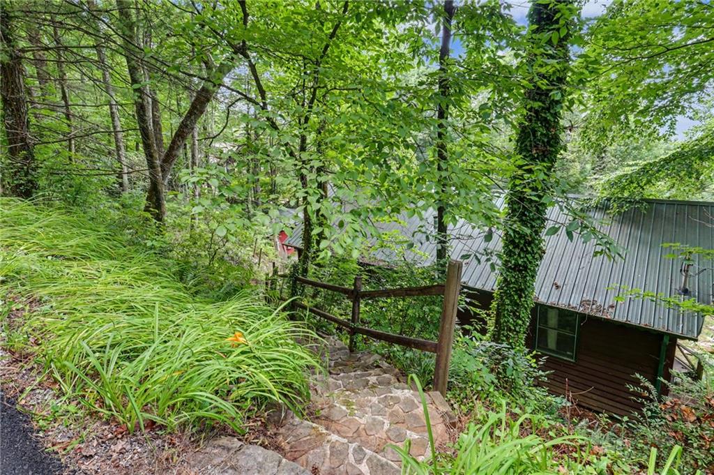 574 Bachelors Button Drive