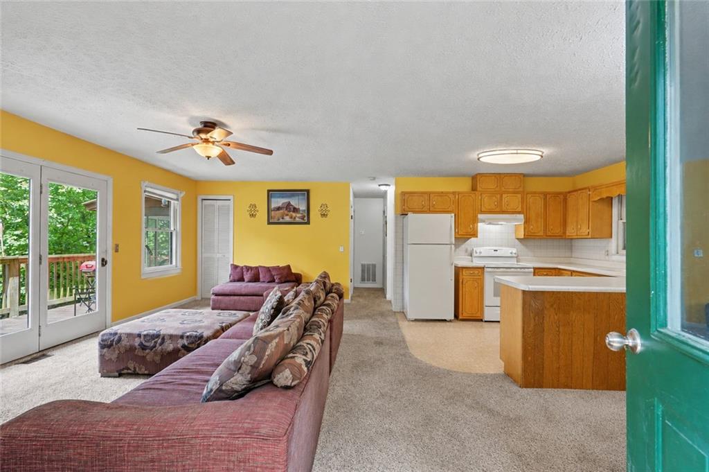 574 Bachelors Button Drive