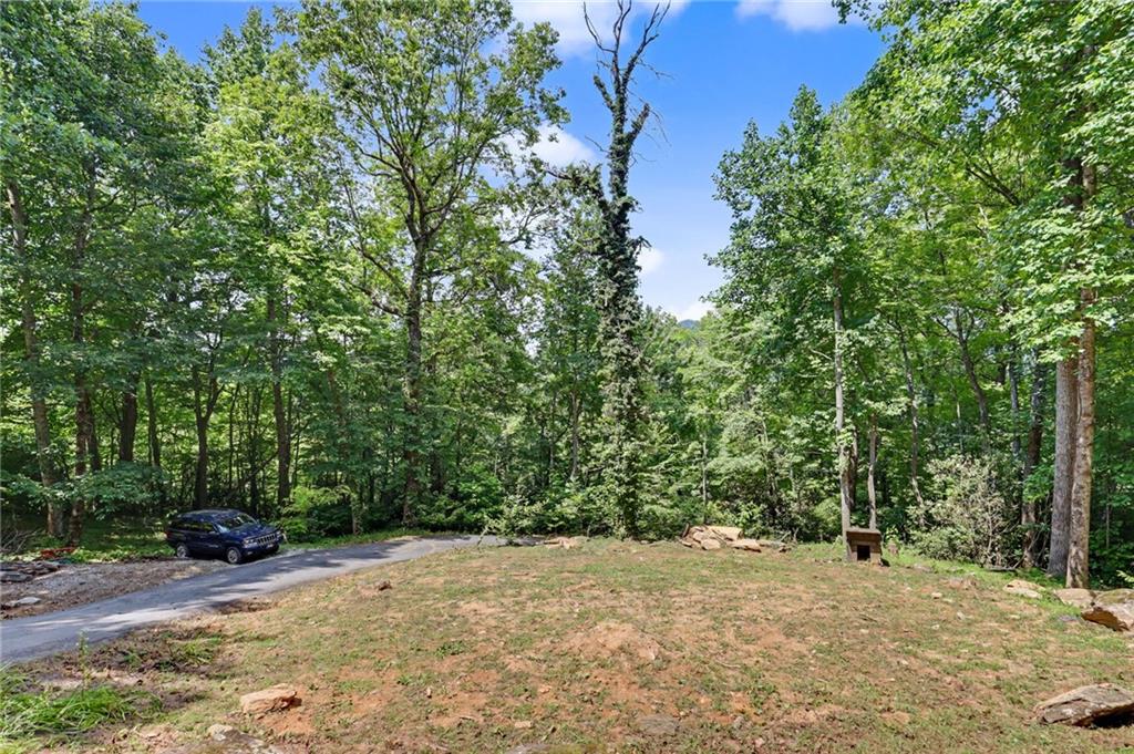 574 Bachelors Button Drive