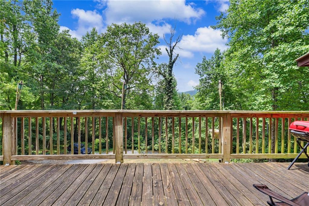 574 Bachelors Button Drive
