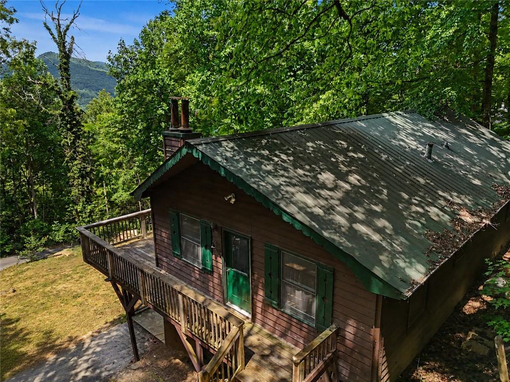 574 Bachelors Button Drive