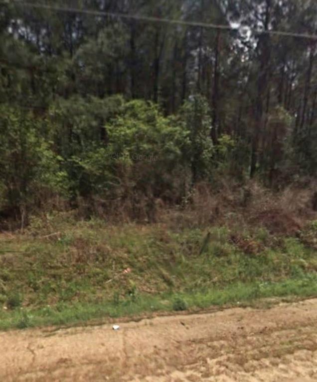 000 WILLIE VARNUM Road