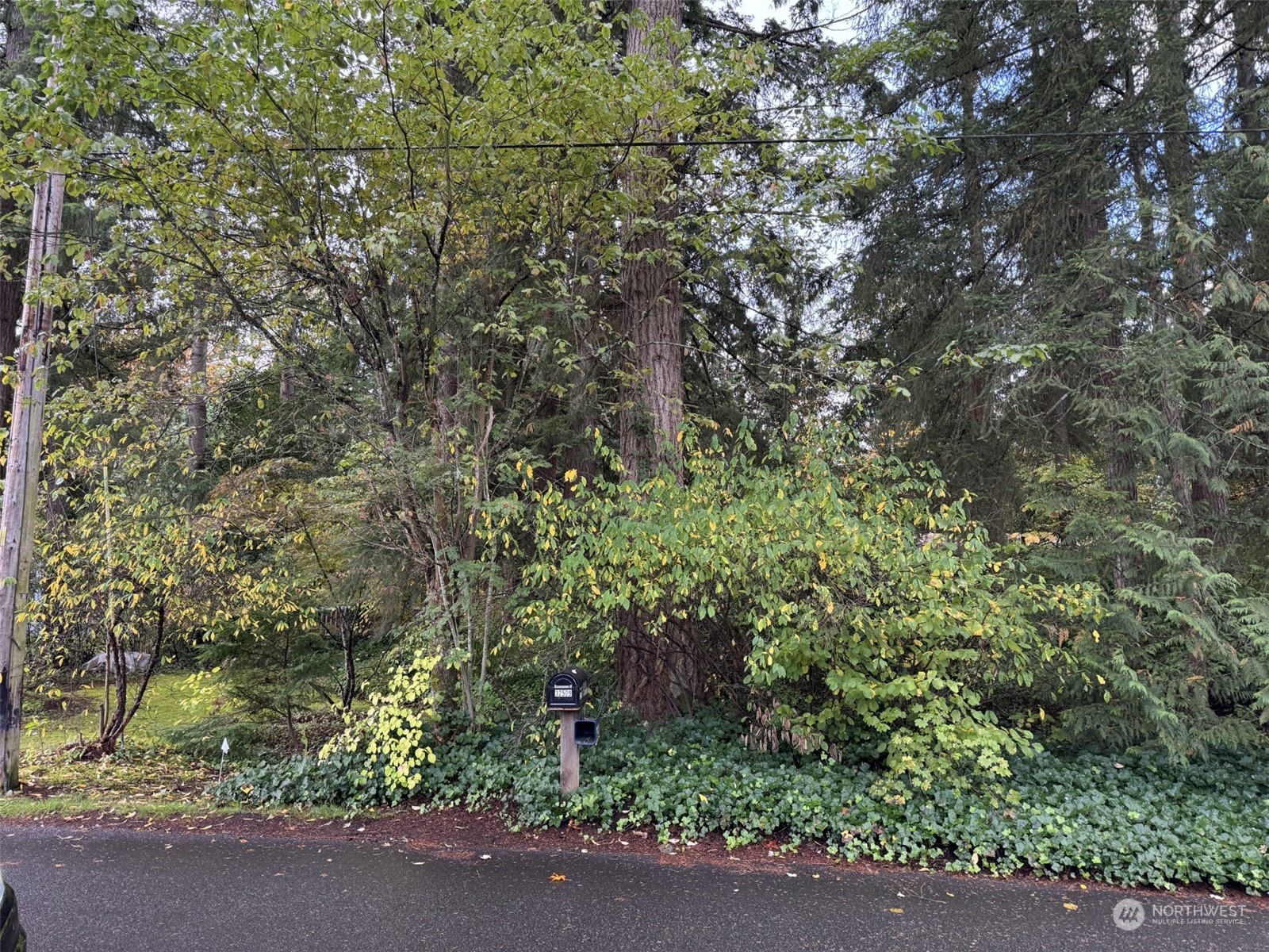 32509 SE 44th Street
