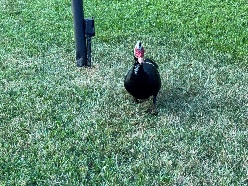 3004 NE 5th Ter 302-C