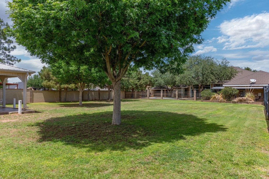 5001 Widener Strip