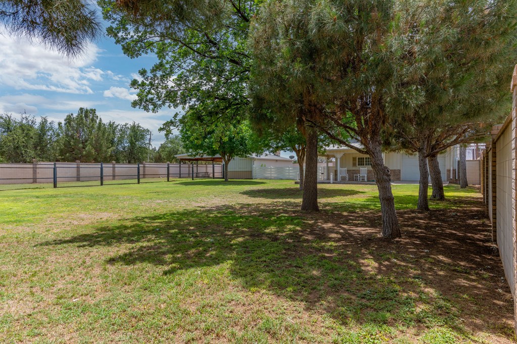 5001 Widener Strip