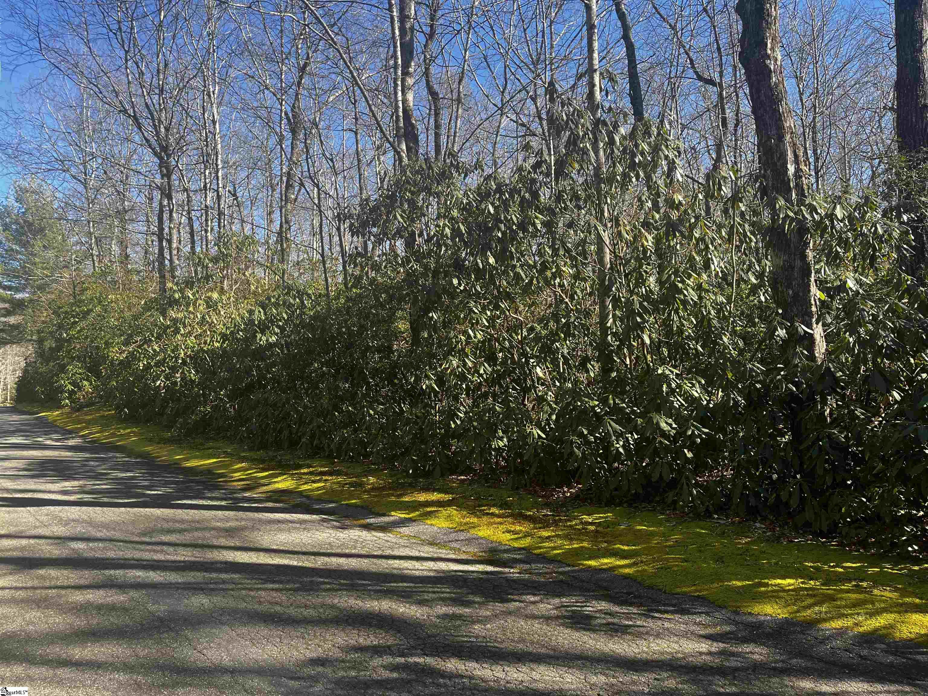 116 Hemlock Trail Lot 182