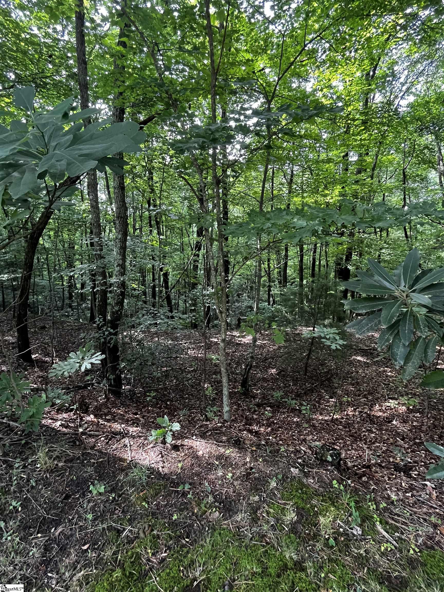 000 Cliff Ridge Drive Lot 253