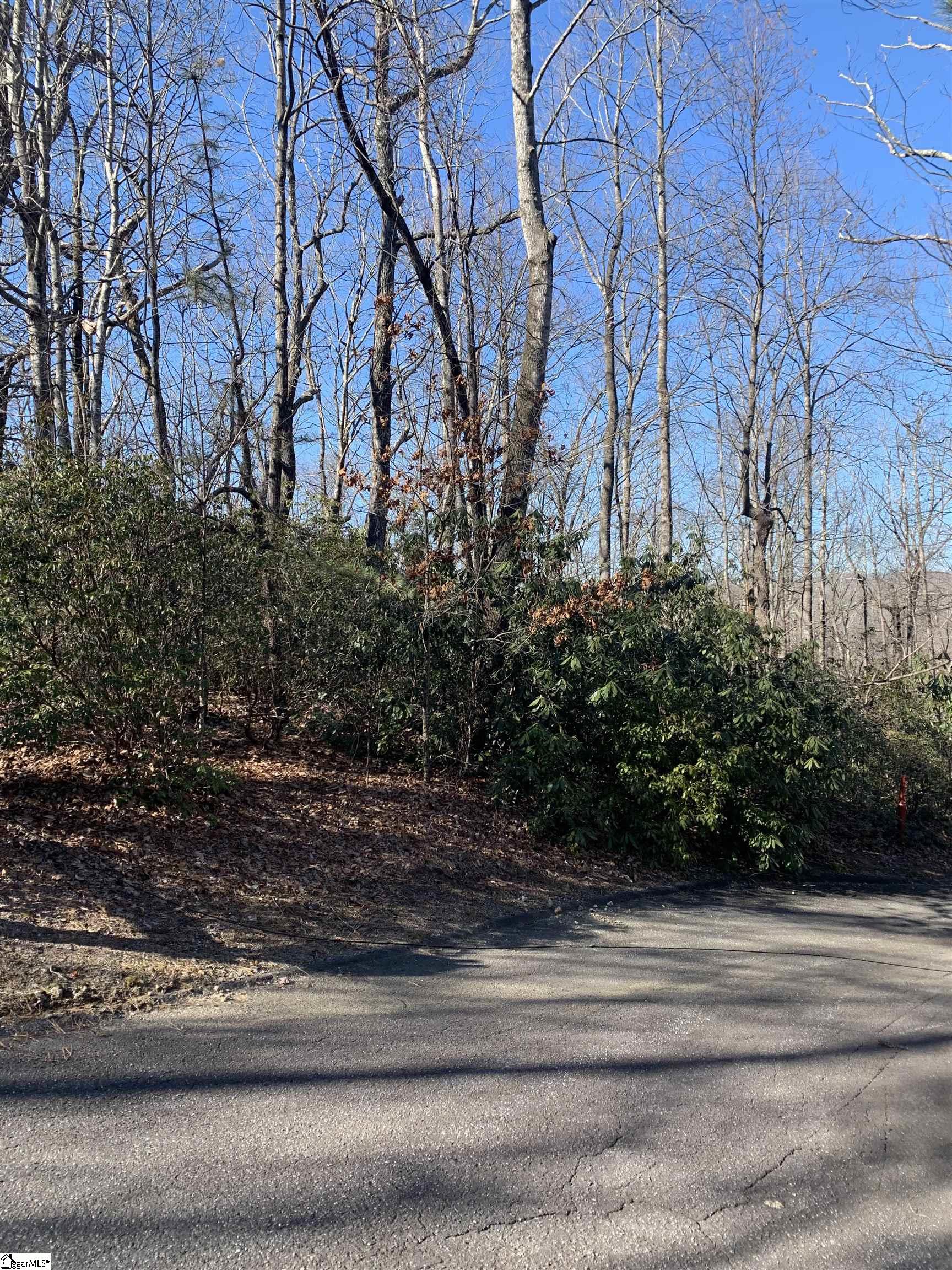 000 Cliff Ridge Drive Lot 253