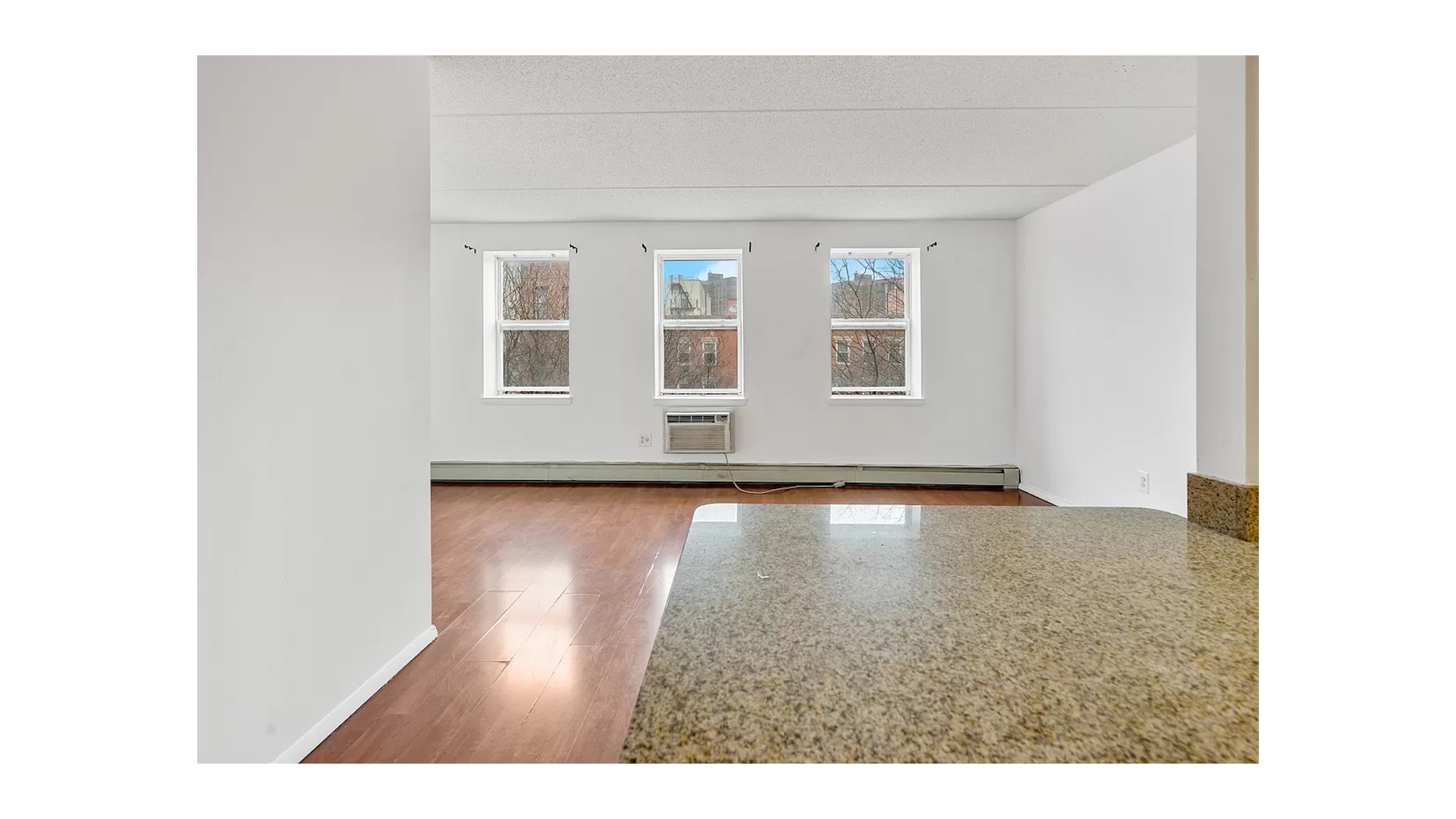 312 E 119TH Street 3