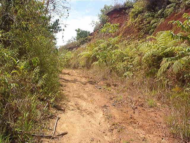 0 1 Mountain Top View