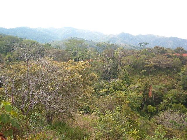 0 1 Mountain Top View