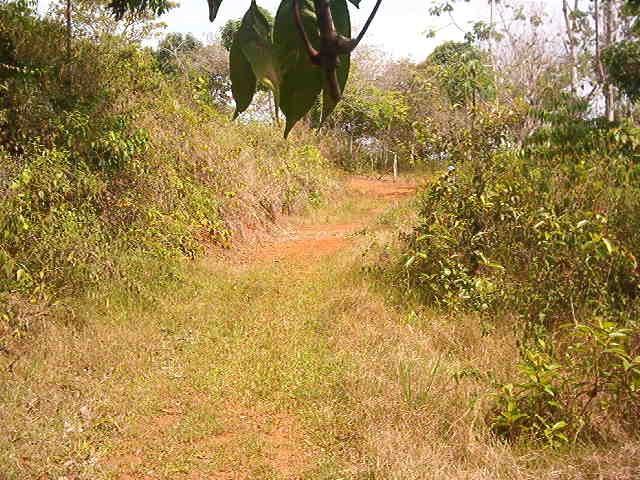 0 1 Mountain Top View