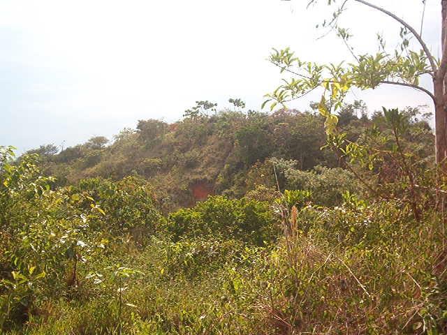 0 1 Mountain Top View