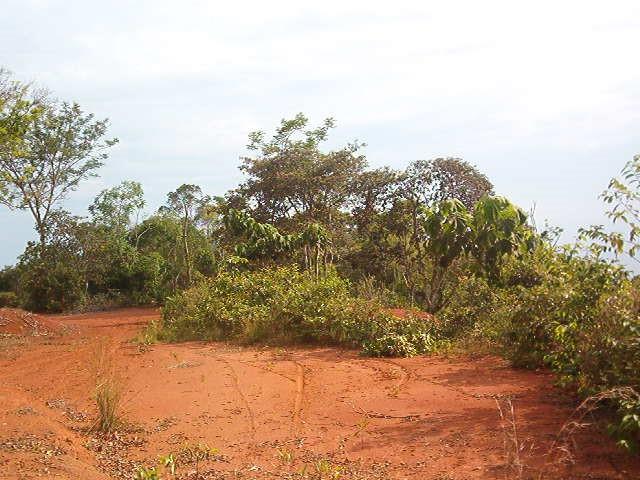 0 1 Mountain Top View